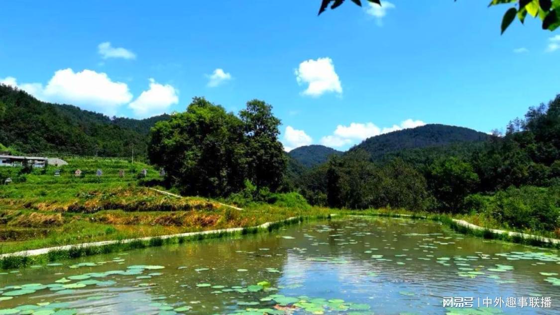 本周音频推广一体化打造您的企业生态助力中小企业数字化转型,抖音24小时自助平台点赞有什么用：自助点赞助力内容曝光度提升