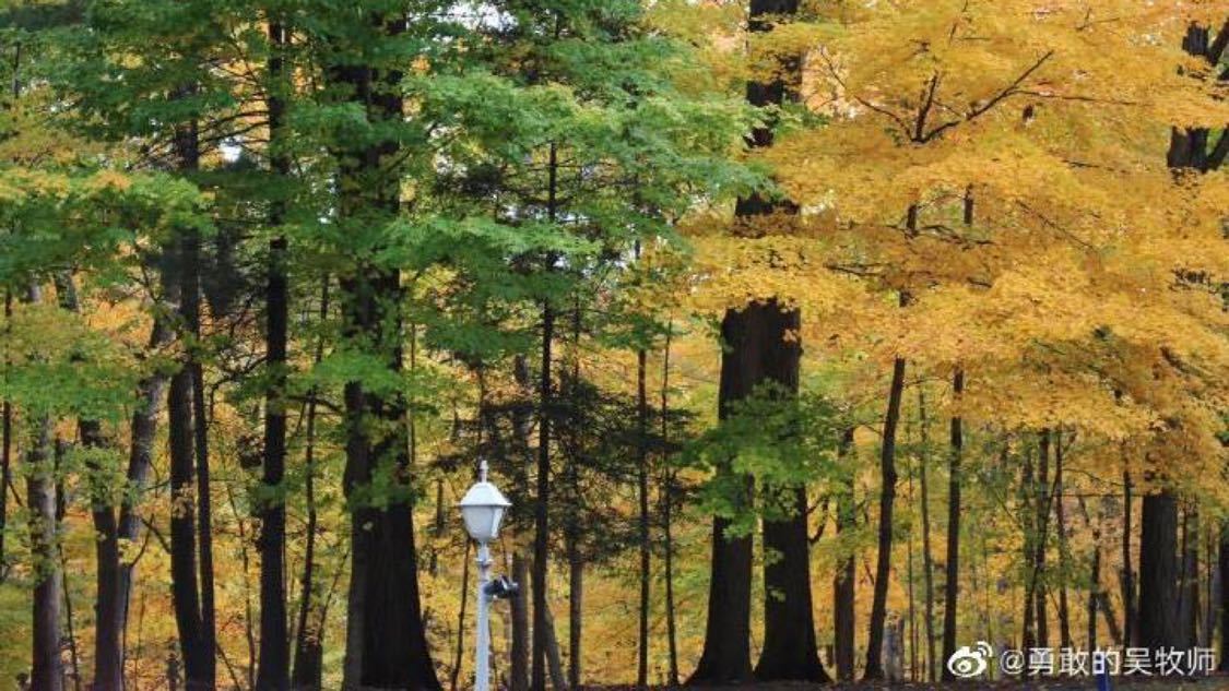 300充值10000快币渠道